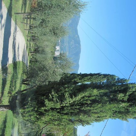 Valle Degli Ulivi Appartamento Terni Exteriér fotografie