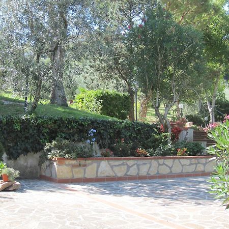 Valle Degli Ulivi Appartamento Terni Exteriér fotografie