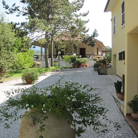 Valle Degli Ulivi Appartamento Terni Exteriér fotografie