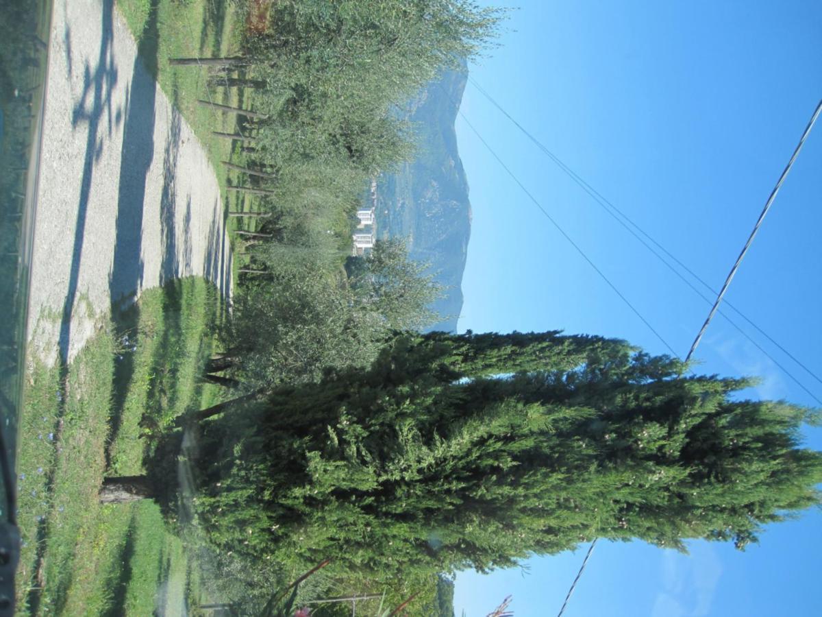 Valle Degli Ulivi Appartamento Terni Exteriér fotografie